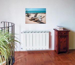 Биметаллический радиатор