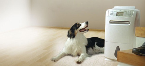 bytovoj-osushitel-vozduxa