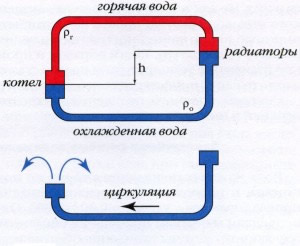 Графическая схема возникновения циркуляционного напора