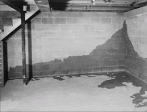 подтопление погреба