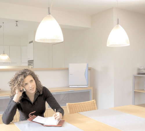 какой очиститель лучше